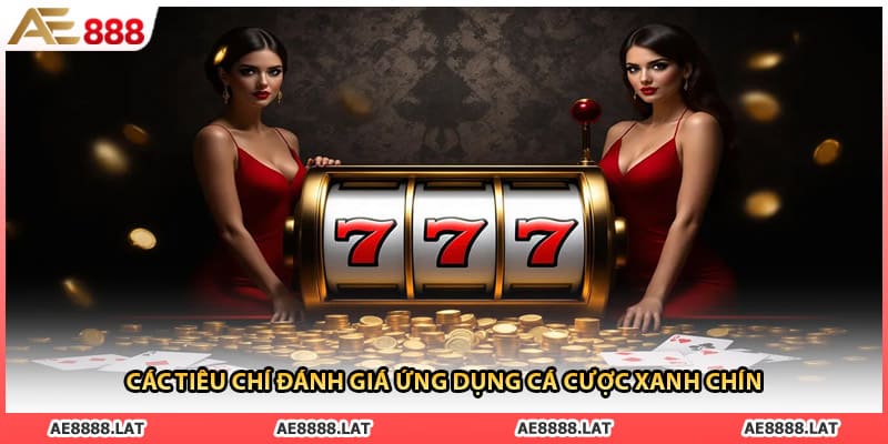 Các tiêu chí đánh giá ứng dụng cá cược xanh chín